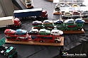 VBS_1934 - 6ª edizione Mostra di Modellismo 2022 - Grugliasco Parco le Serre